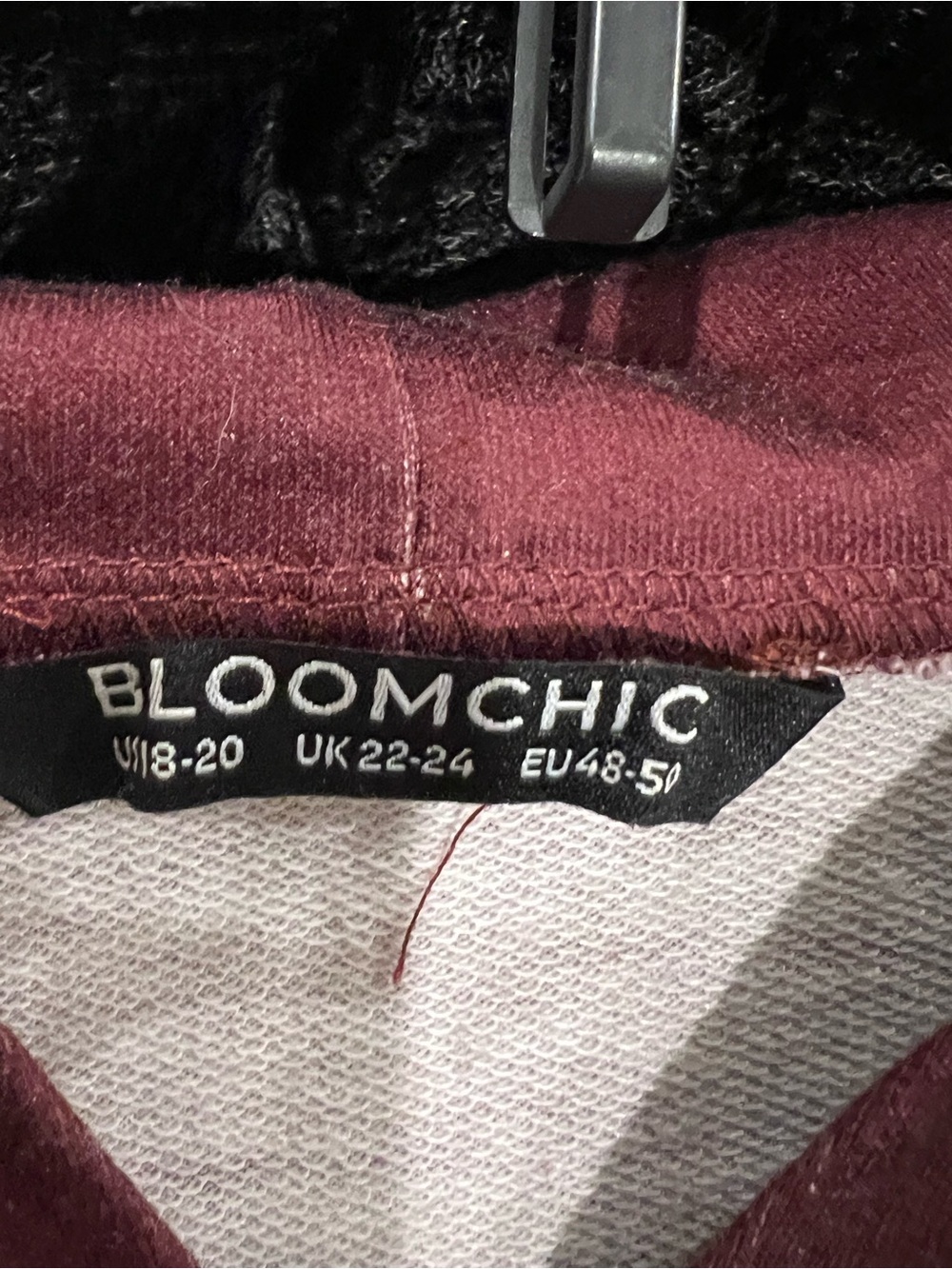 BloomChic  Ombre Hoodie in Dusty Rose - Picture 4 of 6